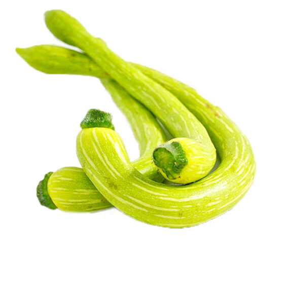 Dried Grape - Image 3